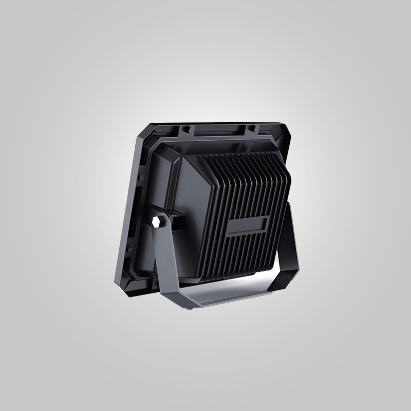 PROJECTEUR SOLAIRE100W FERRI-image-1